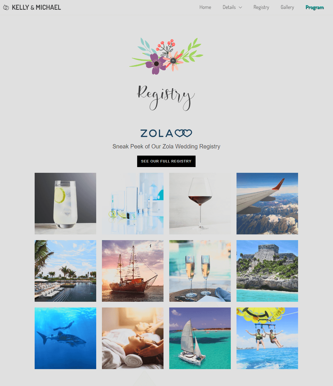 Embedded Zola Registry